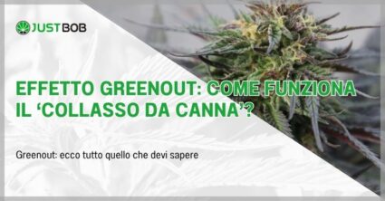Effetto greenout: come funziona il 'collasso da canna'?