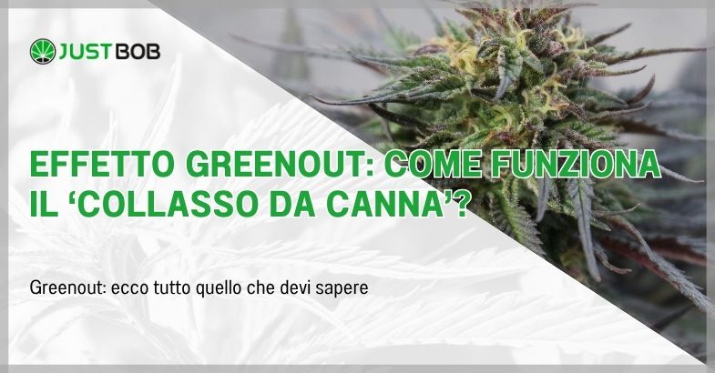 Effetto greenout: come funziona il 'collasso da canna'?