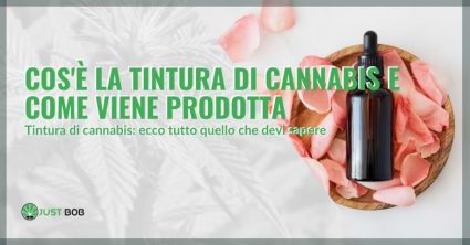 tintura di cannabis