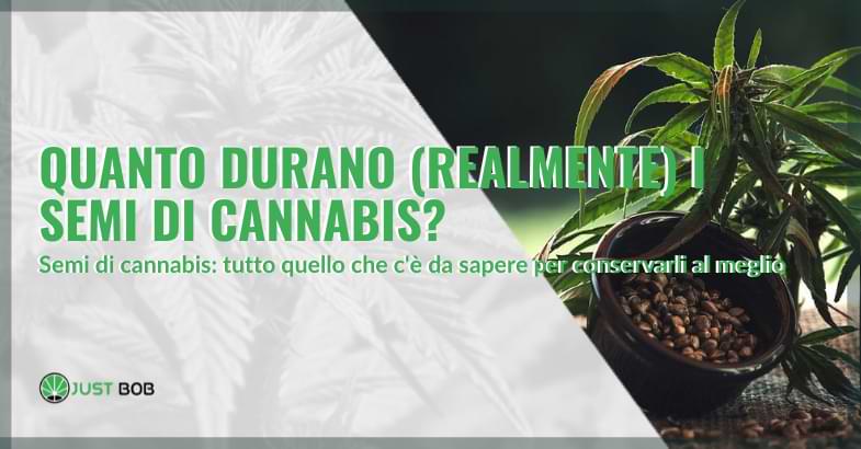 quanto durano i semi di cannabis