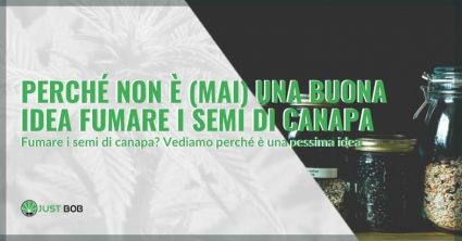 fumare-i-semi-di-canapa