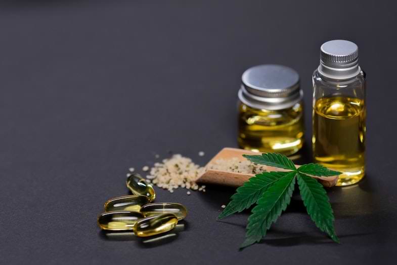 madre-cannabis pianta madre di cannabis