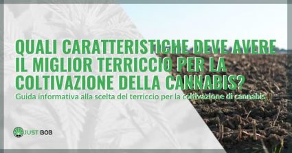 miglior terriccio per cannabis