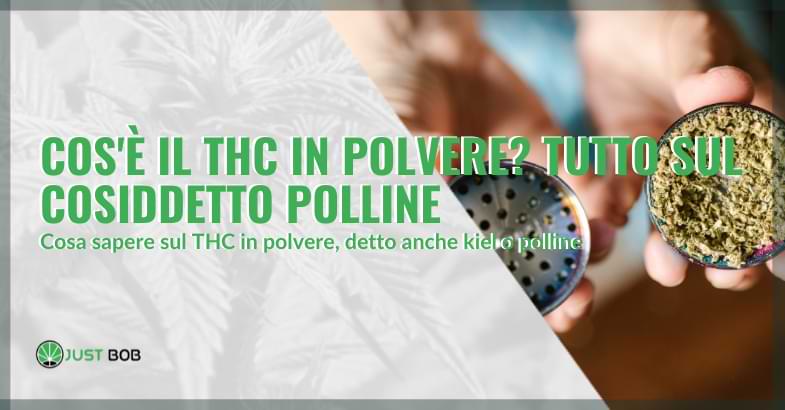 THC in polvere