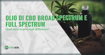 Le differenze dell'olio CBD broad spectrum e full spectrum