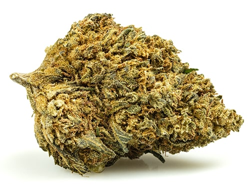 Cima di cannabis light Gelato Cbd Boost