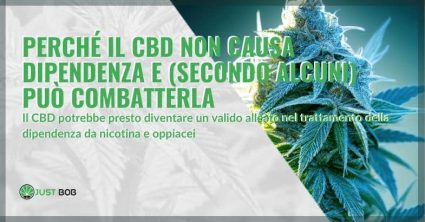 Il CBD non crea dipendenza: ecco perché