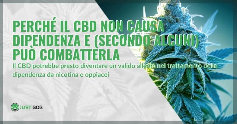 Il CBD non crea dipendenza: ecco perché