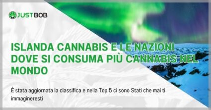 Islanda cannabis e le nazioni dove si consuma più cannabis nel mondo
