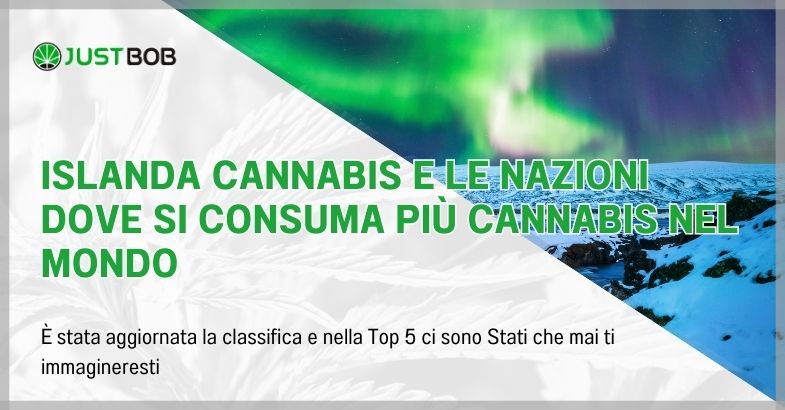 Islanda cannabis e le nazioni dove si consuma più cannabis nel mondo