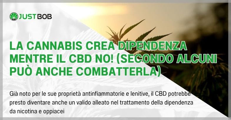 La cannabis crea dipendenza mentre il CBD no!
