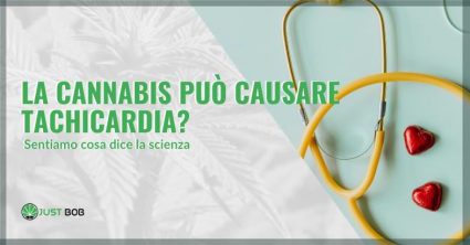 cannabis tachicardia | Justbob