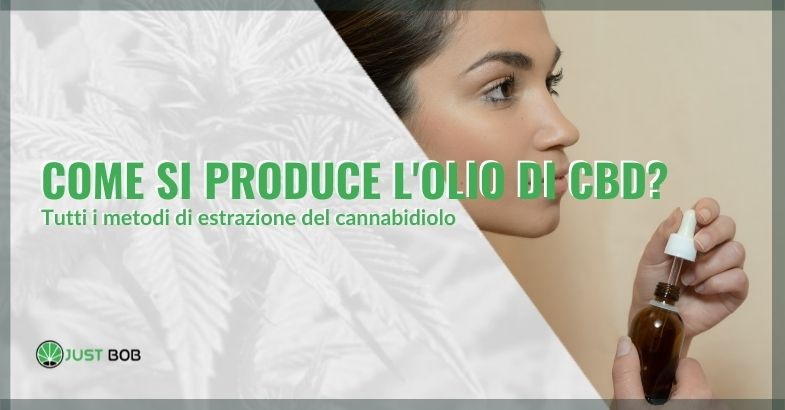 Olio di CBD: come si produce