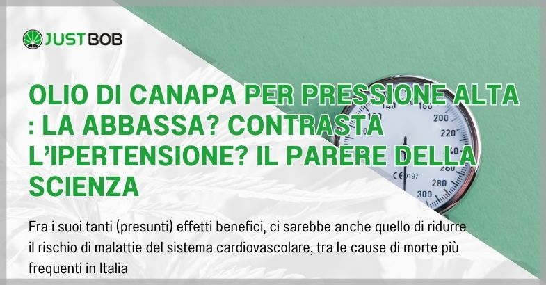 Olio di canapa per pressione alta : la abbassa?