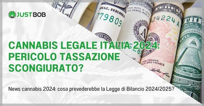 Cannabis legale italia 2024: pericolo tassazione scongiurato?