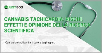 Cannabis tachicardia: rischi, effetti e opinione della ricerca scientifica