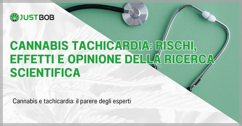 Cannabis tachicardia: rischi, effetti e opinione della ricerca scientifica