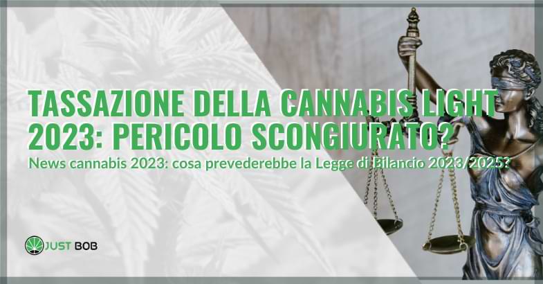 Tassazione della cannabis light 2023