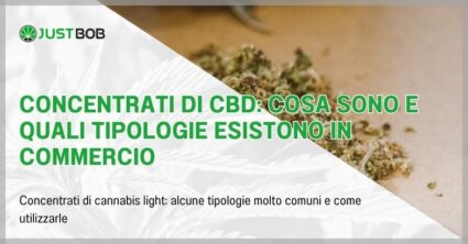 Concentrati di cbd: cosa sono e quali tipologie esistono in commercio