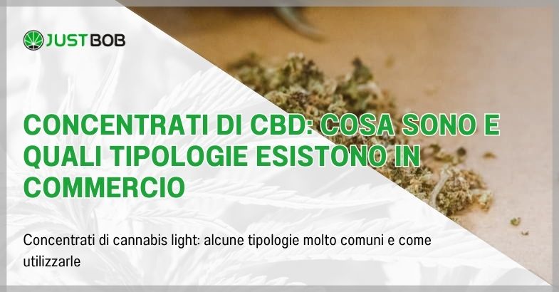 Concentrati di cbd: cosa sono e quali tipologie esistono in commercio