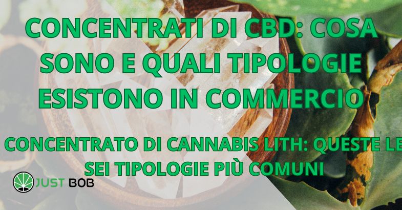 Concentrati di cbd: cosa sono