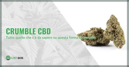 Crumble CBD: tutto quello che c’è da sapere