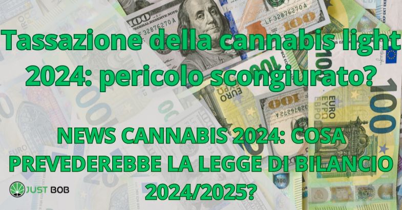 Tassazione della cannabis light 2024