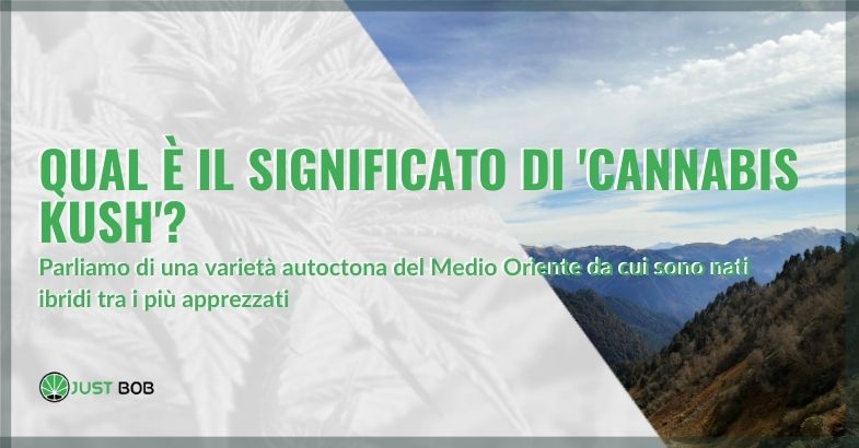 Significato di cannabis kush | Justbob