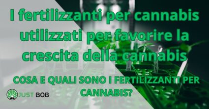 I fertilizzanti per cannabis utilizzati