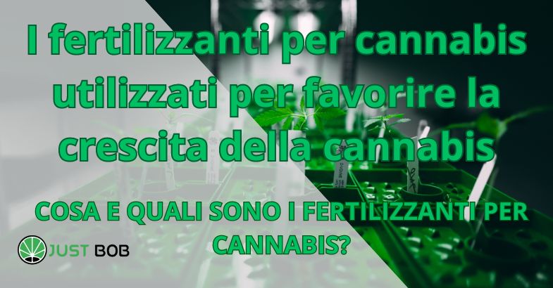 I fertilizzanti per cannabis utilizzati