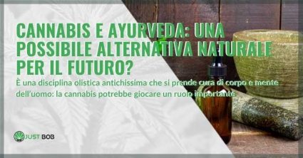 Un'alternativa per il futuro: cannabis e ayurveda | Justbob