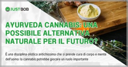 Ayurveda cannabis: una possibile alternativa naturale per il futuro?
