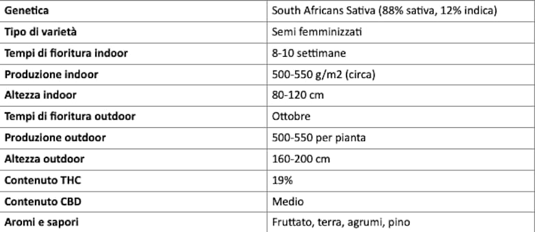Quadro riassuntivo delle caratteristiche della varietà Flower Power | Justbob 