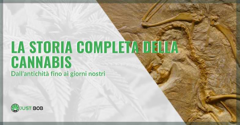 la storia della cannabis | Justbob