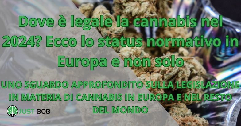 Dove è legale la cannabis nel 2024? Ecco lo status normativo in Europa e non solo