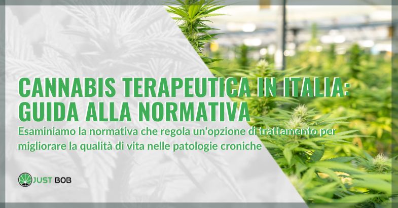 Cannabis terapeutica in Italia | Justbob
