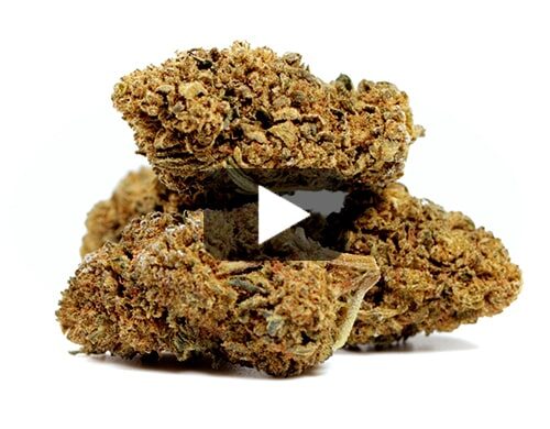 erba-legale-amnesia-cbd-boost