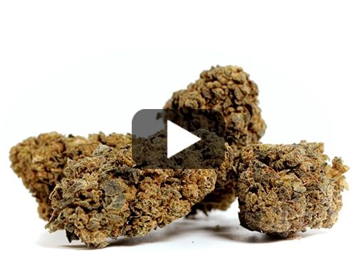 erba-legale-orange-cbd-boost