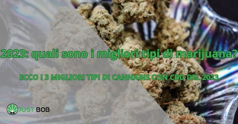 2023: quali sono i migliori tipi di marijuana?