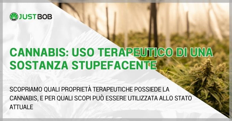 Cannabis: uso terapeutico di una sostanza stupefacente