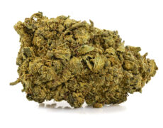 fiore di cannabis light skunk h4 cbd