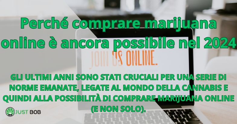 Perché comprare marijuana online è ancora possibile nel 2024