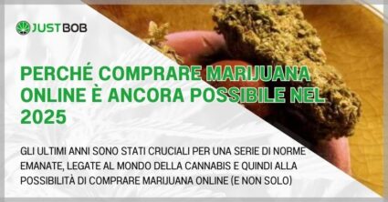 Perché comprare marijuana online è ancora possibile nel 2025