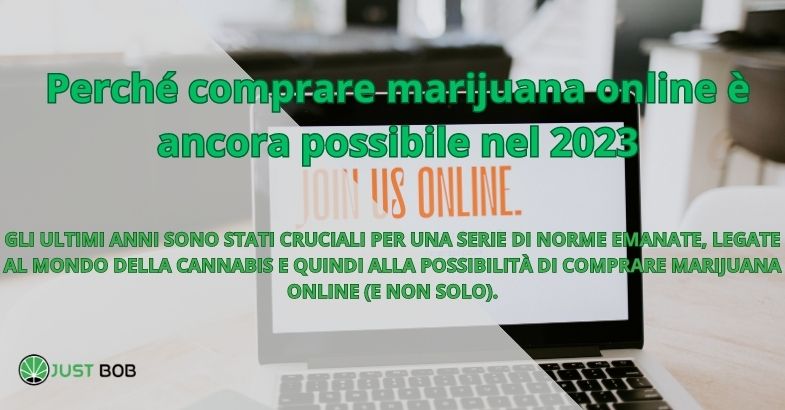 Perché comprare marijuana online è ancora possibile nel 2023