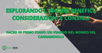 H4CBD IN PRIMO PIANO: UN VIAGGIO NEL MONDO DEL CANNABIDIOLO
