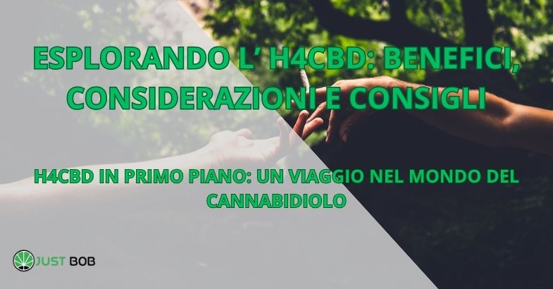 H4CBD IN PRIMO PIANO: UN VIAGGIO NEL MONDO DEL CANNABIDIOLO