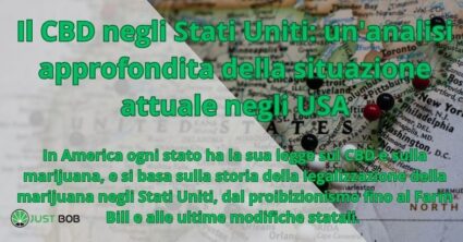 Il CBD negli Stati Uniti: un'analisi approfondita della situazione attuale negli USA