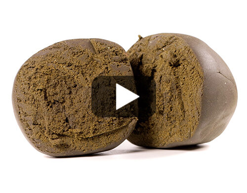 anteprima-video-del-hashish-legale-nepalese