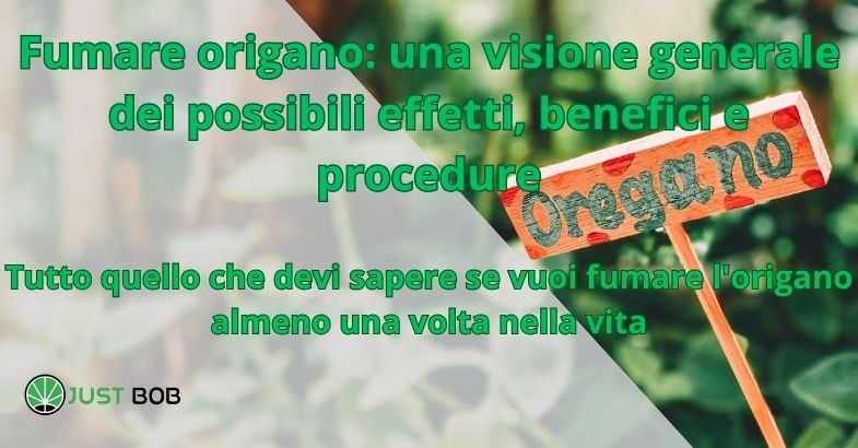 Fumare origano: una visione generale dei possibili effetti, benefici e procedure