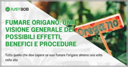 Fumare origano: una visione generale